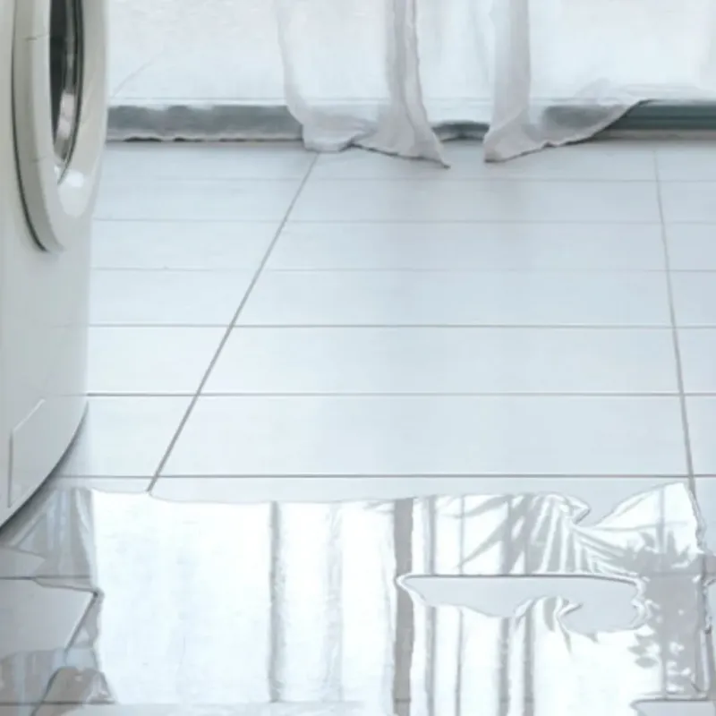 Appliance Leak Cleanup in Riverview, FL